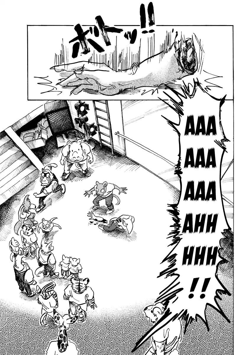 Beastars, Chapter 71 image 06