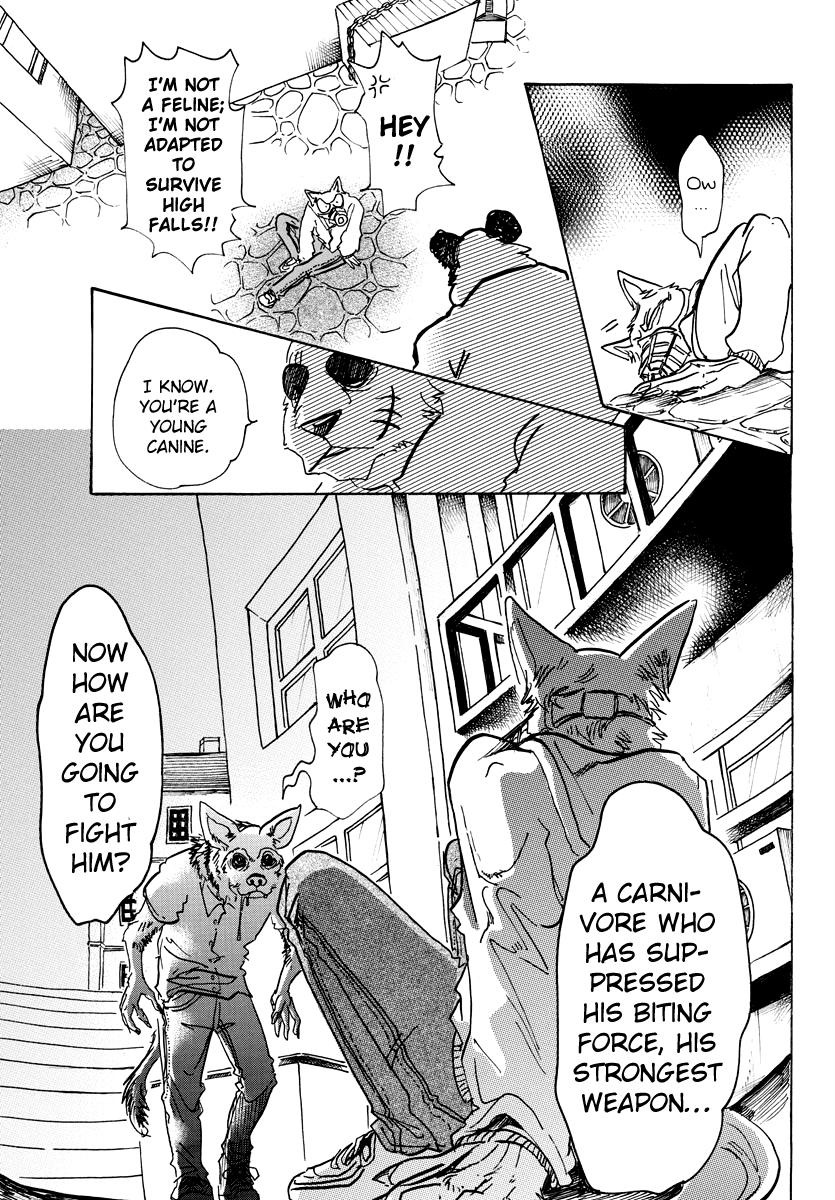 Beastars, Chapter 68 image 13