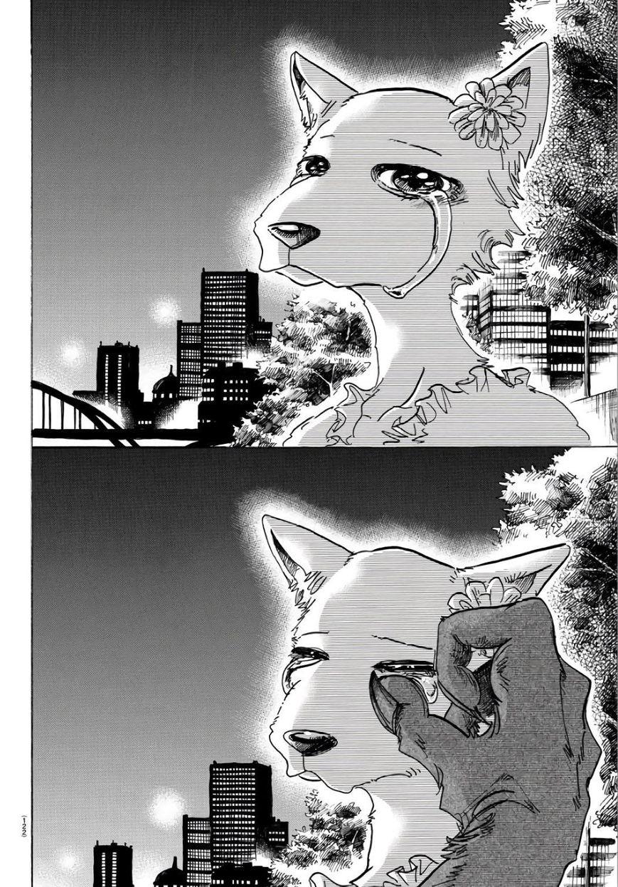 Beastars, Chapter 86 image 17