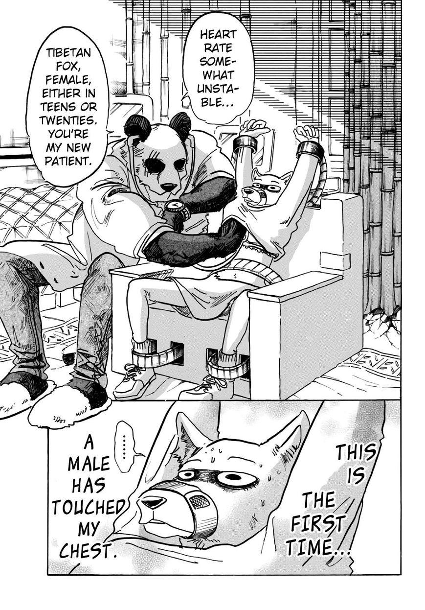 Beastars, Chapter 86 image 03