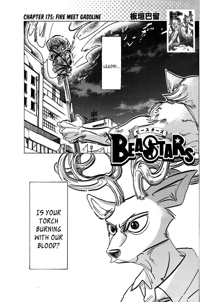 Beastars, Chapter 175 image 01