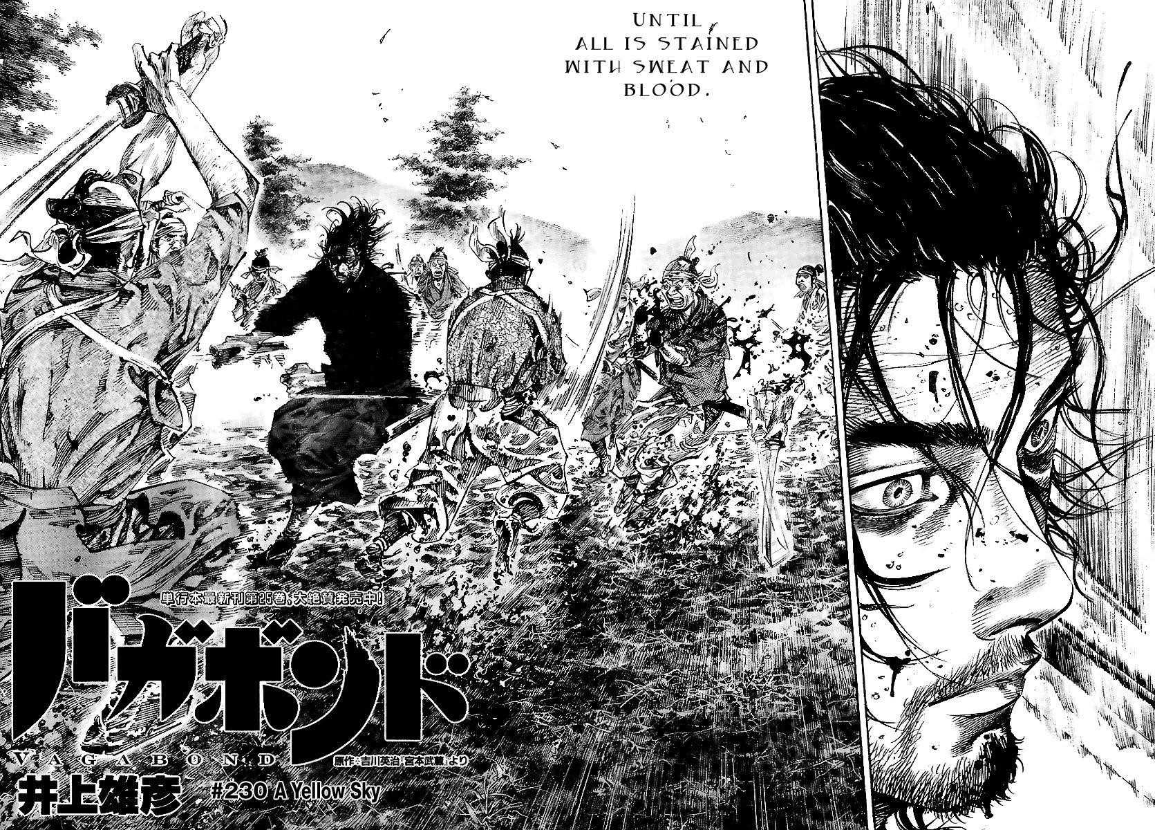 Vagabond, Chapter 230 image 02