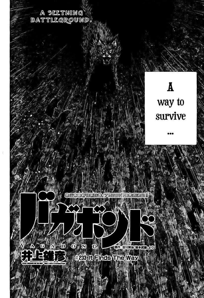 Vagabond, Chapter 233 image 03