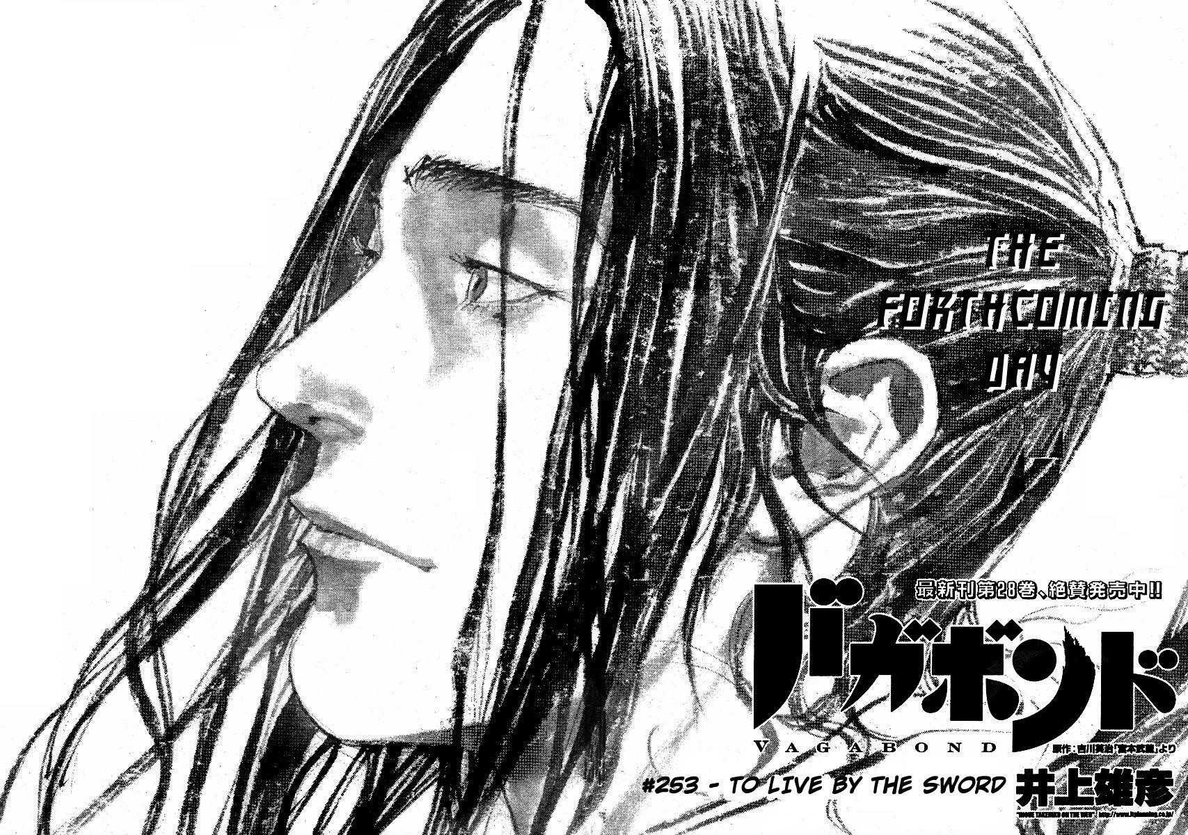 Vagabond, Chapter 253 image 03